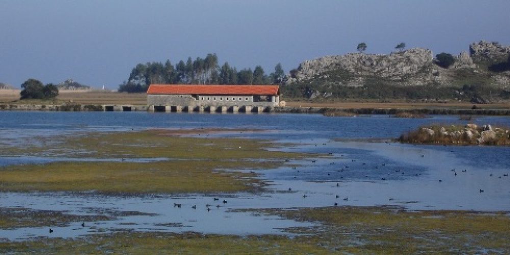 Visitas al Molino de Santa Olaja en el mes de Julio