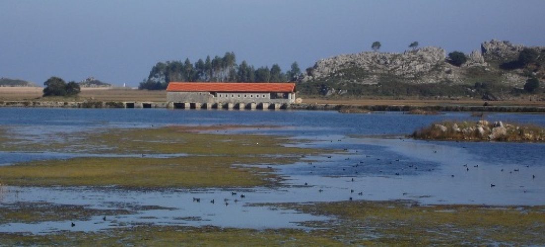 Visitas al Molino de Santa Olaja en el mes de Julio